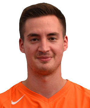 dinu petre virgil
