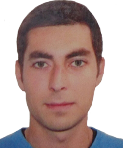 spulber catalin