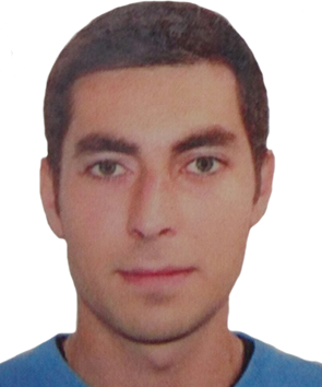 spulber catalin