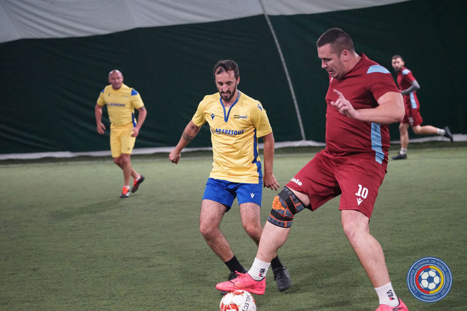 miele tehnica arabesque cnfc brasov